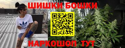 2c-b Новозыбков