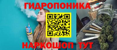 2c-b Новозыбков