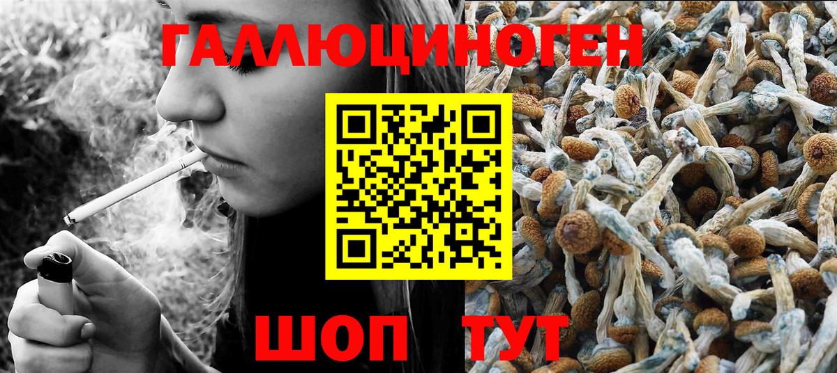 Галлюциногенные грибы GOLDEN TEACHER  Вход с VPN  Тосно 